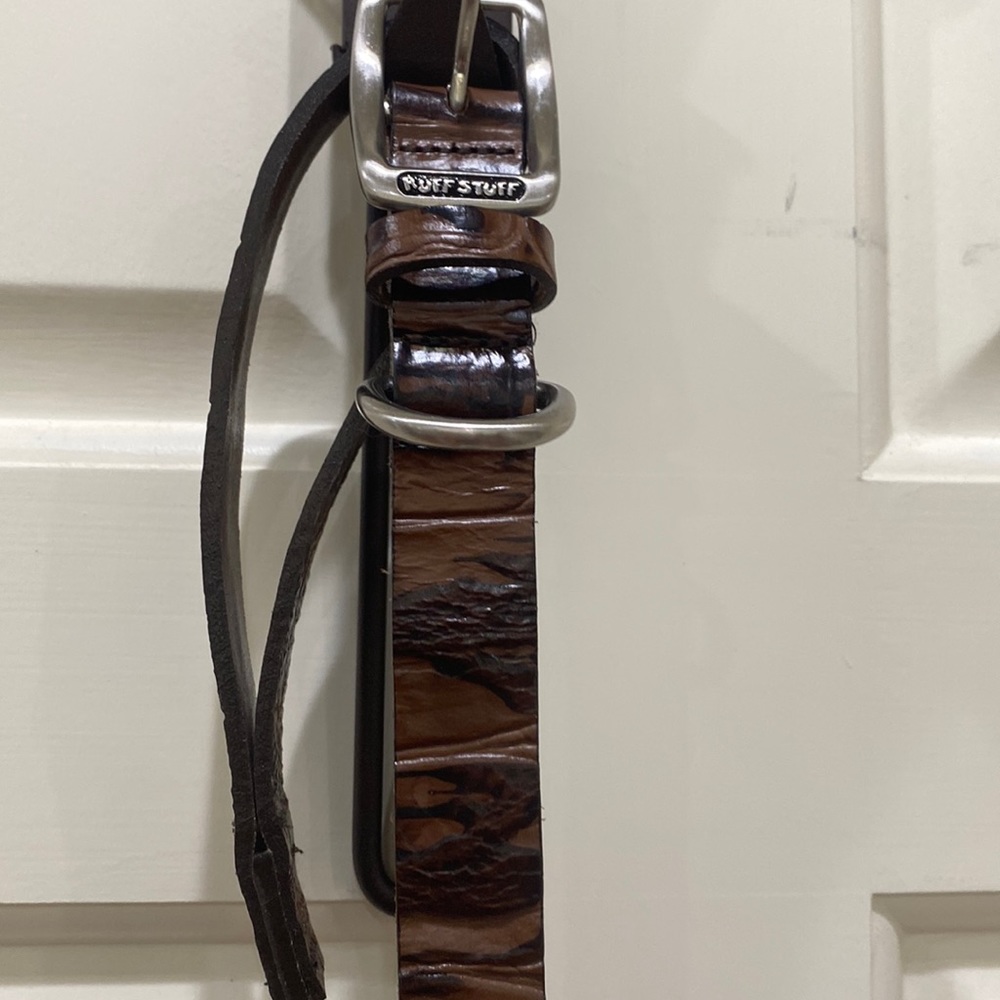 Dog collar and leash .
